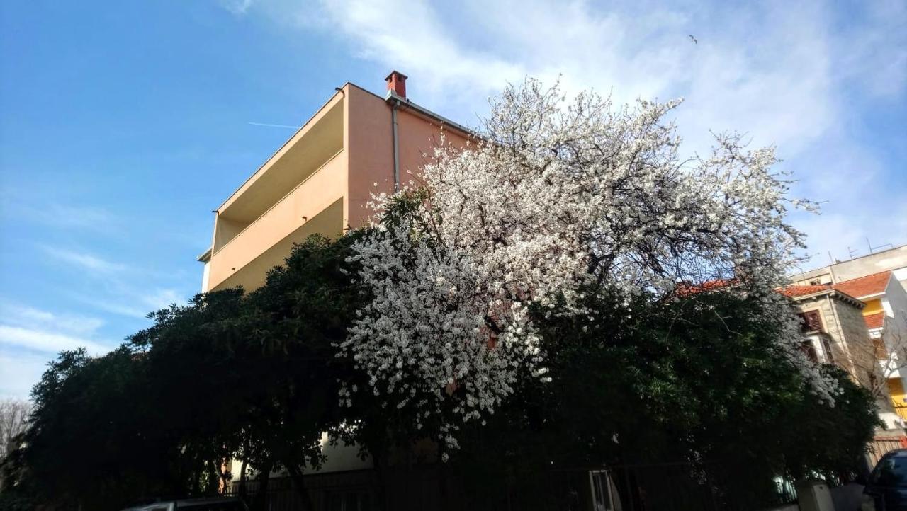 Split Symphony Veranda: Modern, New Apartment Экстерьер фото