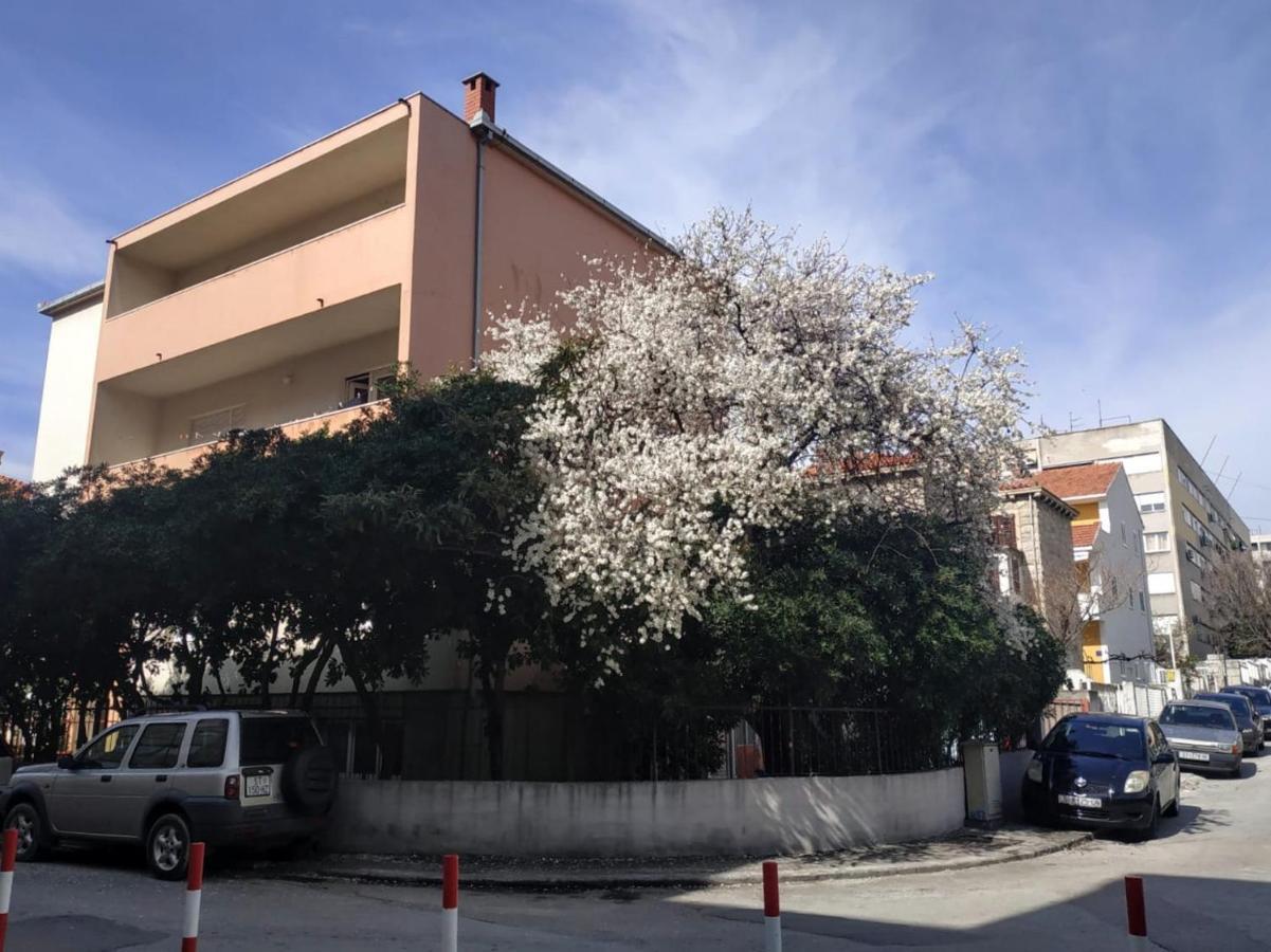 Split Symphony Veranda: Modern, New Apartment Экстерьер фото